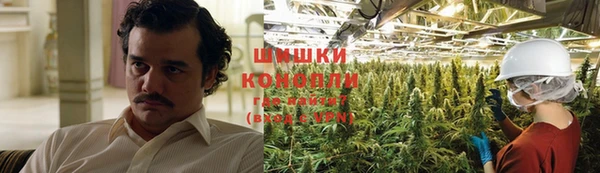 тгк Туринск