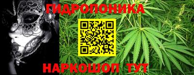 индика Жуковский
