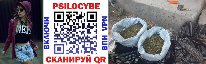 Псилоцибиновые грибы Magic Shrooms  блэк спрут как войти  Можга 