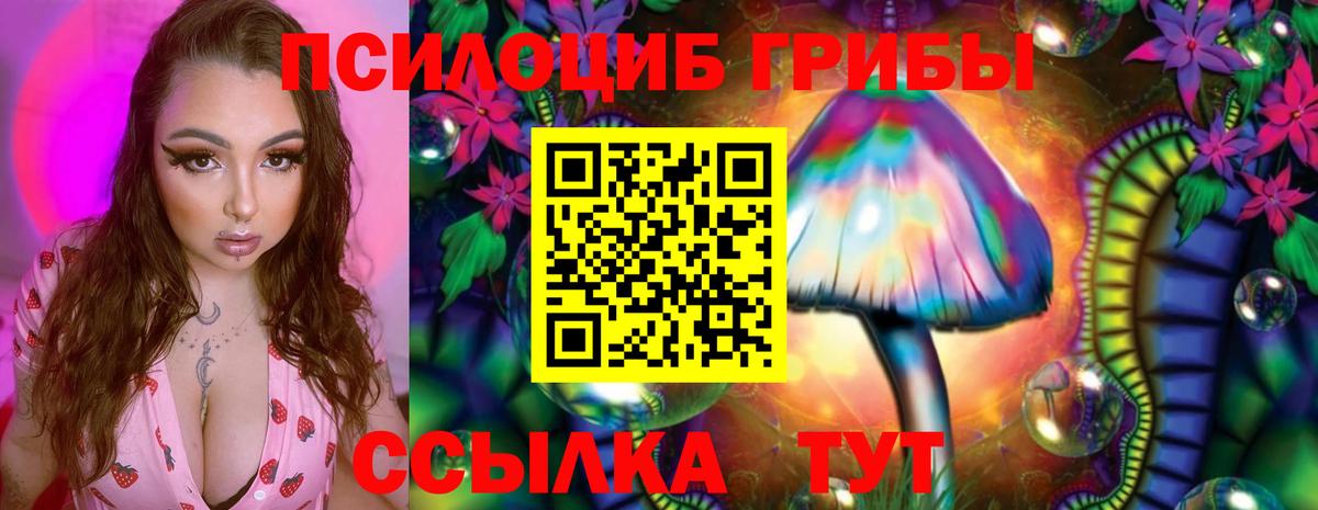Можга  Галлюциногенные грибы MAGIC MUSHROOMS  Галлюциногенные грибы Psilocybe  Вход с VPN 